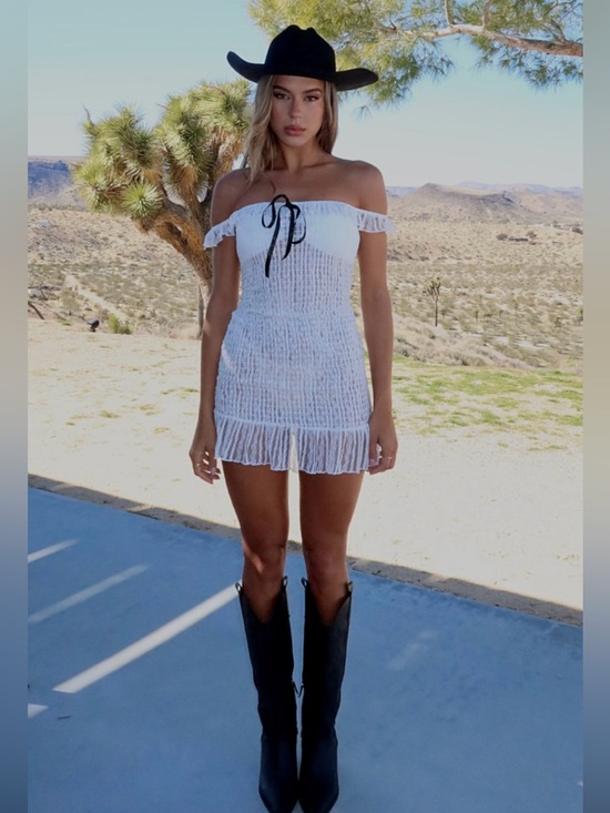 White Fox Boutique Dresses & Skirts - NWT White Fox Sheer White Mini Dress